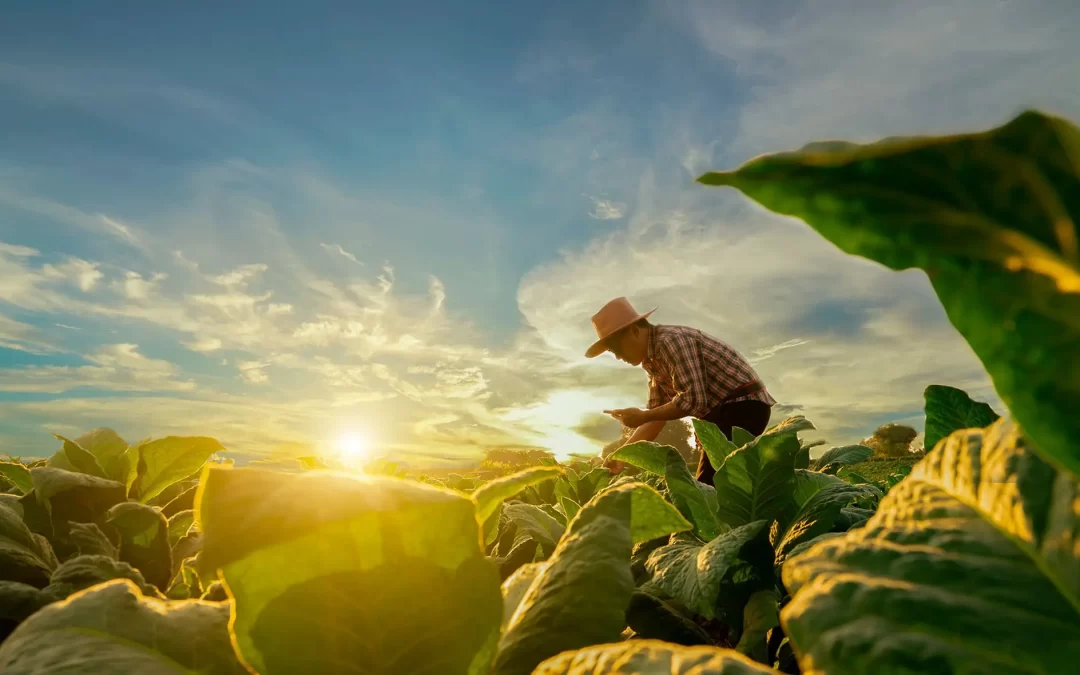 Logros en tecnología dentro de las Agroindustrias durante el 2022