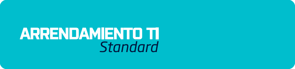 ARRENDAMIENTO TI Standard