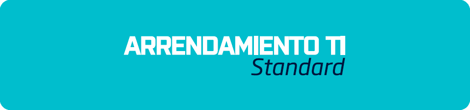 ARRENDAMIENTO TI Standard
